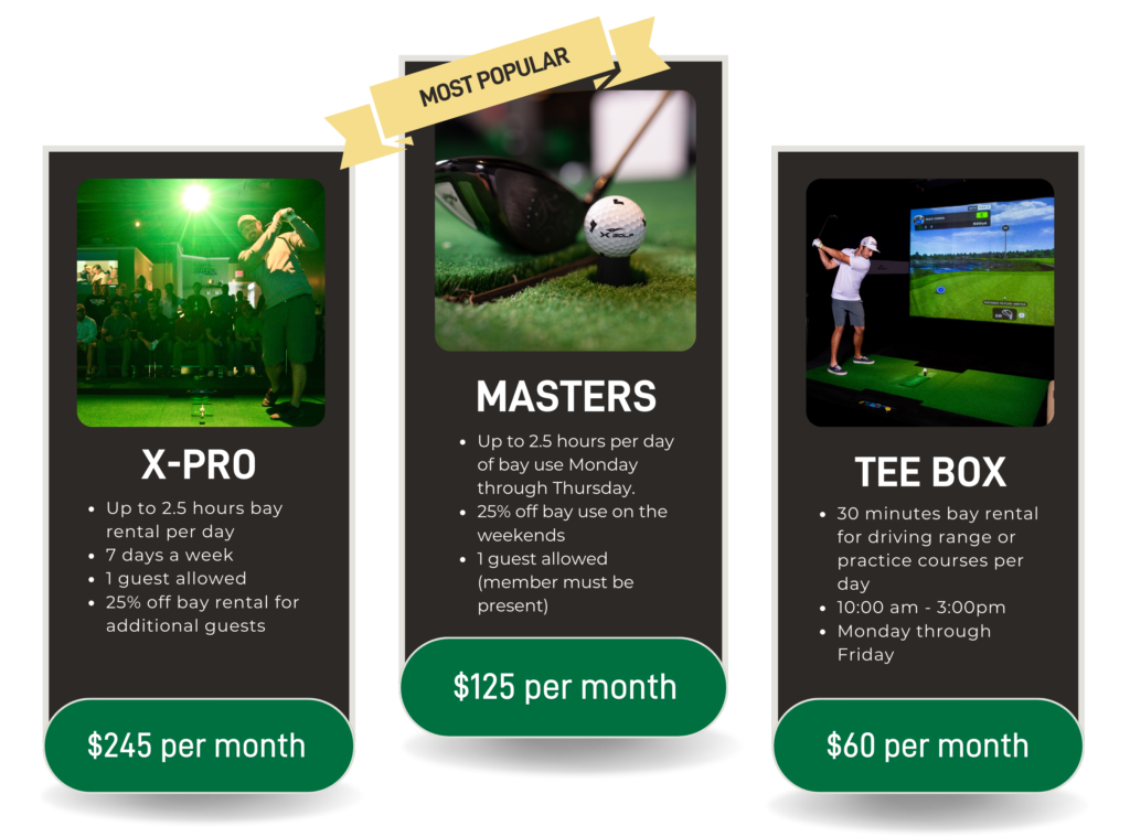 Golf Simulator Turf Guide product photo